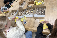 image-20260116-202526-369