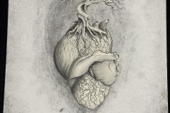 image-20260116-202053-641