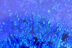Kulturbühne-BLAU_204
